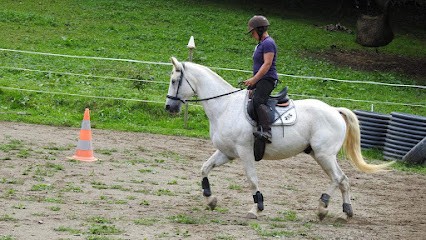 La Ferme Du Poney Fringant, Centre Equestres à Saint-Pé-de-Bigorre