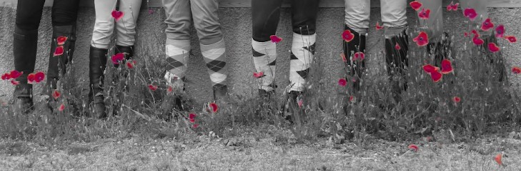Les Écuries Du Villard, Centre Equestres à Peyrat-de-Bellac