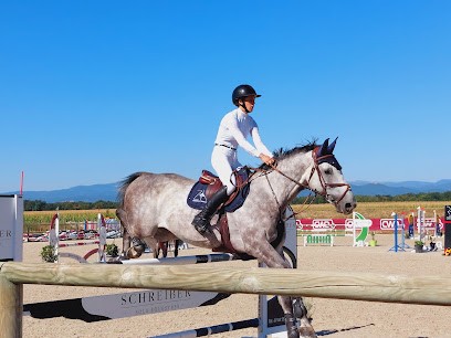 Asso Ecurie Du Moulin De Widensolen, Centre Equestres à Widensolen