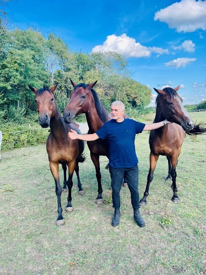Ecurie De Changy, Centre Equestres à Varennes-Changy