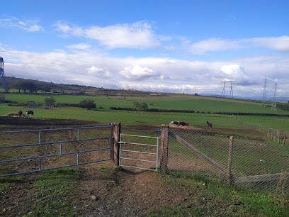 ECURIES DE L OUEST, Centre Equestres à Dommartin