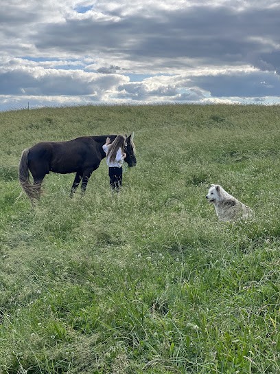 Horse Farm Des Esprits Sauvages, Centre Equestres à Saint-Chély-d'Aubrac