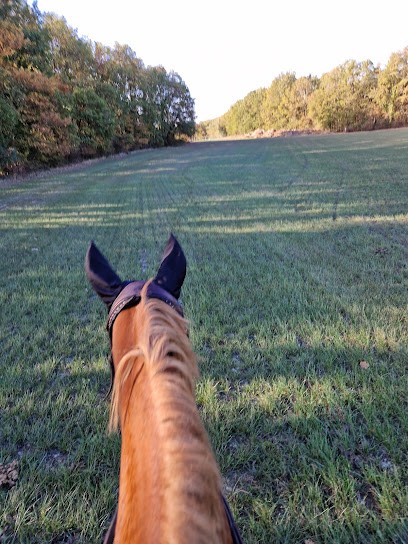 Ecurie De Courrege, Centre Equestres à Valeilles