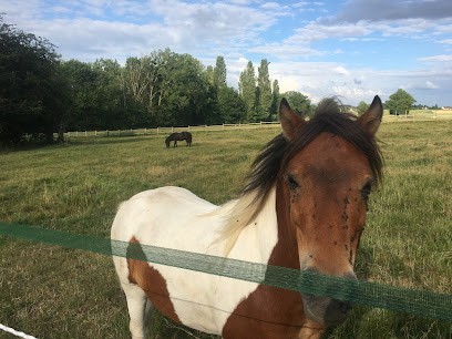 Les Écuries D'attez, Centre Equestres à Sainte-Marie-d'Attez