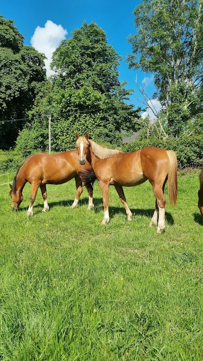 Élevage de l’érable, Centre Equestres à Neuville-sur-Authou