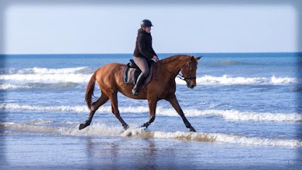 Haras De La Villiere - Orne Normandie France 61, Centre Equestres à Gouffern en Auge