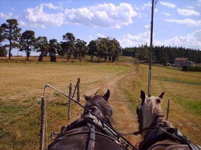 Espace Trait, Centre Equestres à Devesset