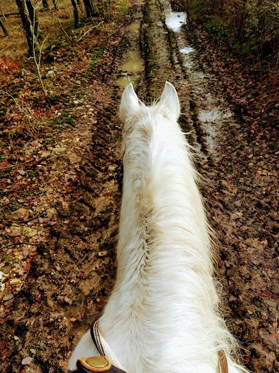 Equestrian Center De Sigbell, Centre Equestres à Saint-Beauzeil