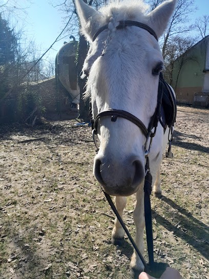 Centre Equestre Odyssee, Centre Equestres à Vulaines-sur-Seine