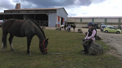Horse Farm Du Vieux Fey, Centre Equestres à Fey-en-Haye