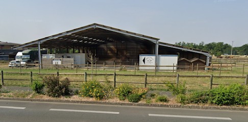 Pony Club 49 La Pelerinière, Centre Equestres à Saint-Barthélemy-d'Anjou
