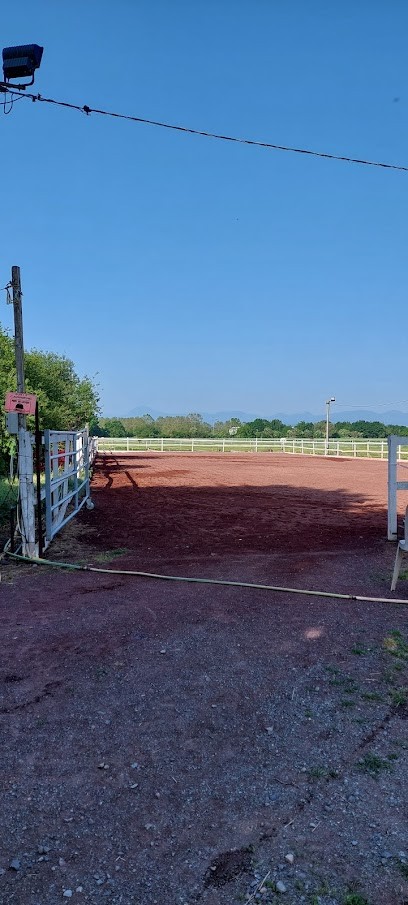 Pension les Pressards, Centre Equestres à Ennezat