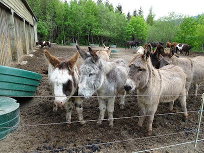 Farm Le Chiblin, Centre Equestres au Bonhomme
