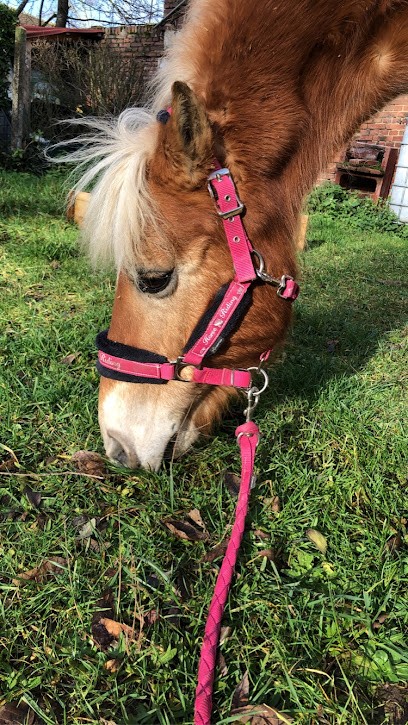 La Musarde, Centre Equestres à Margny-sur-Matz