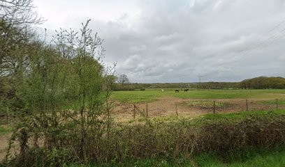 PONEY CLUB DE LA PIERRE BLEUE, Centre Equestres à Vay