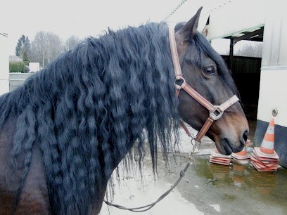 Equidestra Ag, Centre Equestres à Entrange