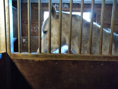 EPONA, Centre Equestres à Fontaine