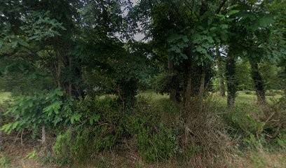 Poney Club de l'Hippodrome, Centre Equestres à Saint-Paul-lès-Dax