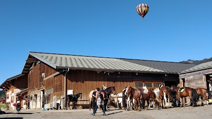 Le Cheval De Feug - Duvillard François & Florian, Centre Equestres à Demi-Quartier
