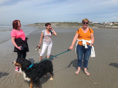 Sev & You, centre de bien être équin, pension cheval, balnéothérapie, formation masseur équin, Pension pour Chevaux à Doullens