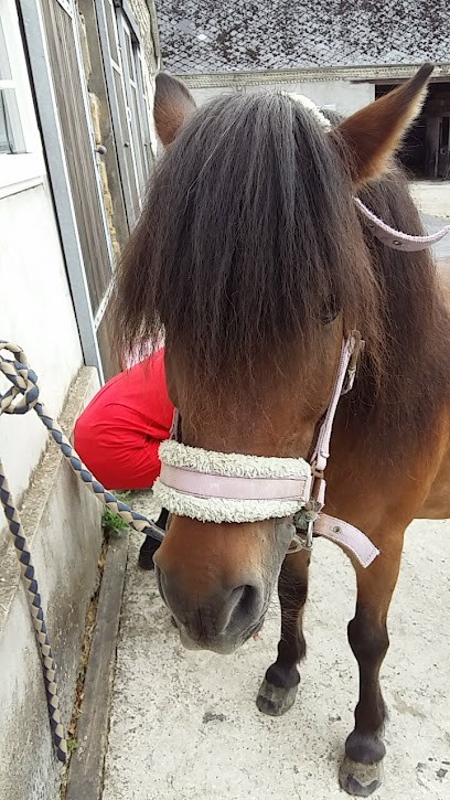 PONEY CLUB ST NICOLAS, Centre Equestres à Ham