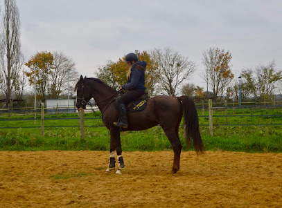 Les Écuries De L'espoir, Pension Pour Chevaux à la Chapelle-aux-Choux