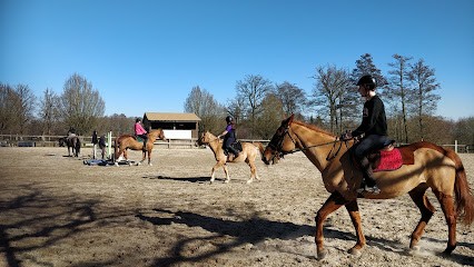 CENTRE HIPPIQUE DE LUXEUIL, Centre Equestres à Luxeuil-les-Bains
