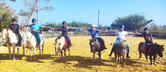 Poney Club du Mas Marie, Centre Equestres à Villeneuve-lès-Maguelone