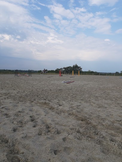 Poney Club Bruyeres, Centre Equestres à Diémoz