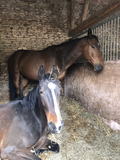 Pony Club Equestrian Center De Mondeville, Centre Equestres à Mondeville