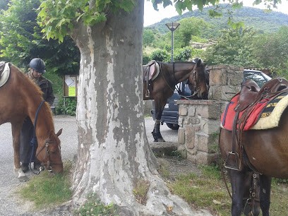 Cheval De Provence, Centre Equestres à Saint-Léger-du-Ventoux