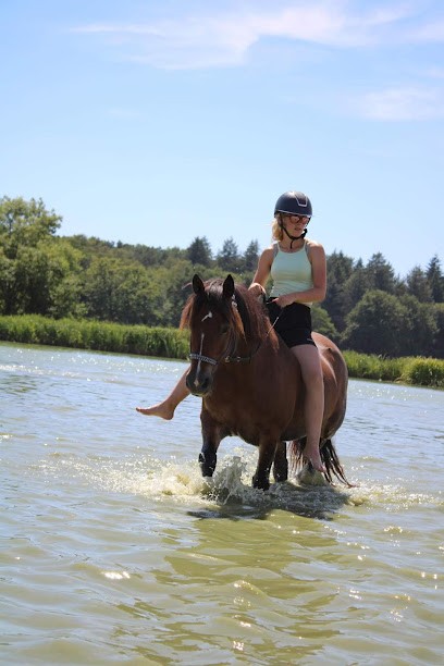 Les Poneys De Monthoiron, Centre Equestres à Monthoiron
