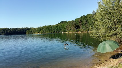The Upholstery Of The Horse, Magasin de Matériel d'Equitation à Lacapelle-Viescamp