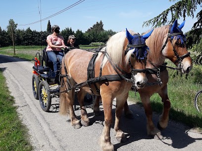 Attelage Academie, Centre Equestres au Thor