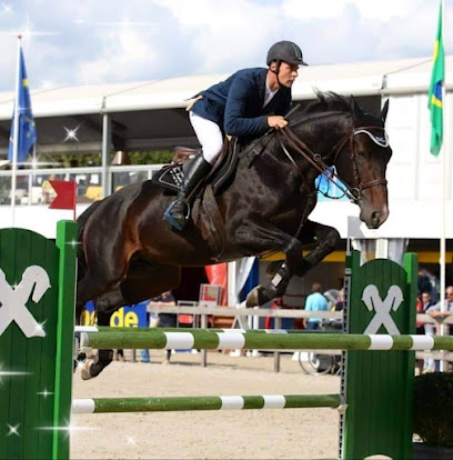 Écurie Des Étoiles - Arnaud Germain, Pension Pour Chevaux à Cherré-Au