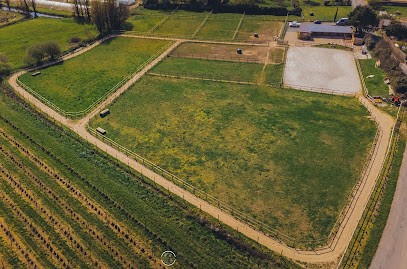 Écurie Seahorse, Centre Equestres à Saint-Malo