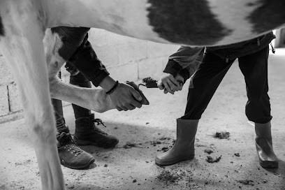 La Ferme Buissonnière, Centre Equestres à Sauveterre-de-Rouergue