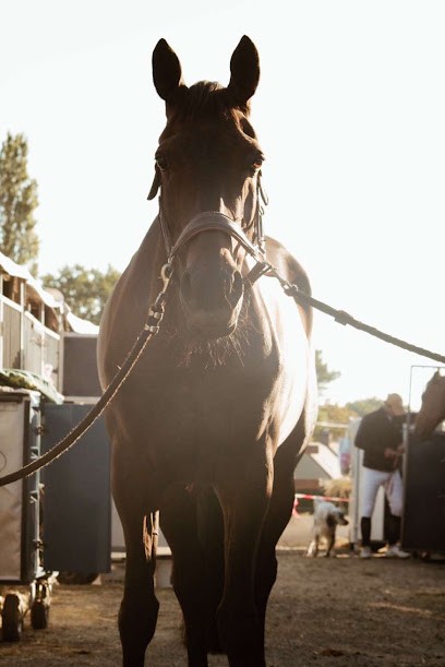 Écurie Reserve, Pension pour Chevaux à Cuffy