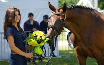 Haras De Safarome, Centre Equestres à Sallertaine