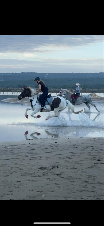 Ecurie De La Garrigue Pension Pour Chevaux à Ginestas
