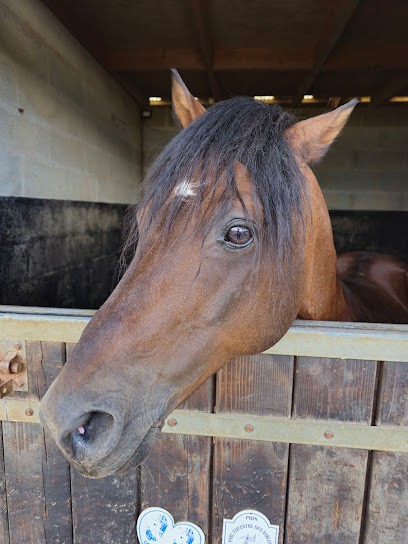 CENTRE EQUESTRE DE L OURAIL, Centre Equestres à La Londe