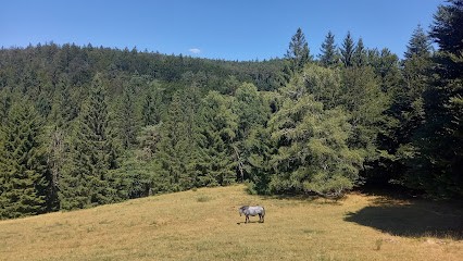 Écuries du Faing Herry, Centre Equestres à Éloyes