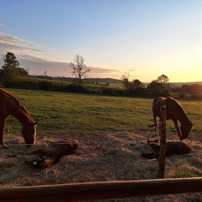 Pierrefont'équitation, Centre Equestres à Pierrefontaine-les-Varans