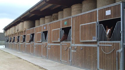 Stud Du Tilleul, Centre Equestres à La Genevraie