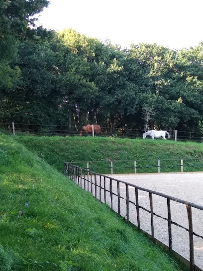 Écurie active Les Crins de Gaïa - pension cheval, Pension pour Chevaux à Plogastel-Saint-Germain