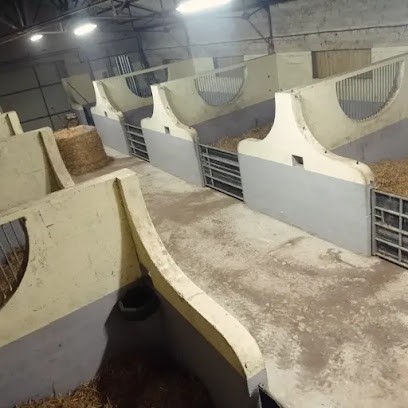 Écurie La Fontaine - Benoît Jan, Centre Equestres à Inzinzac-Lochrist