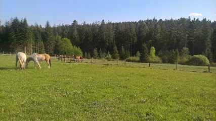 Écurie du Neu Prés, Centre Equestres à Granges-Aumontzey