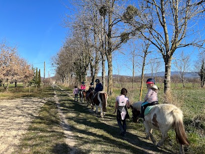 Equestrian Center -, Centre Equestres à Eurre