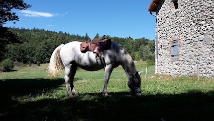 Cavaliers des Revoux, Centre Equestres à Saint-Martin-en-Vercors