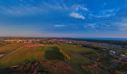 La Balade De La Nouette, Centre Equestres à Saint-Georges-d'Oléron